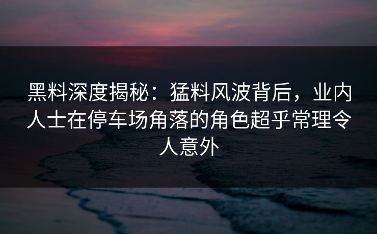 黑料深度揭秘：猛料风波背后，业内人士在停车场角落的角色超乎常理令人意外