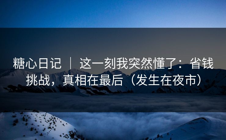糖心日记 ｜ 这一刻我突然懂了：省钱挑战，真相在最后（发生在夜市）