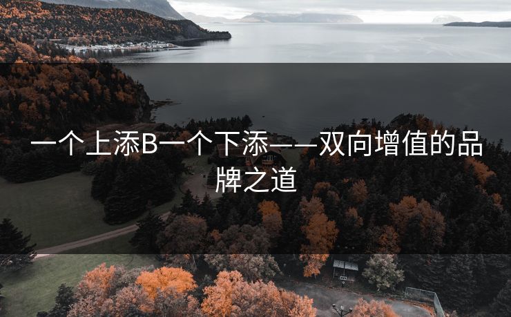 一个上添B一个下添——双向增值的品牌之道 一个上添B一个下添——双向增值的品牌之道
