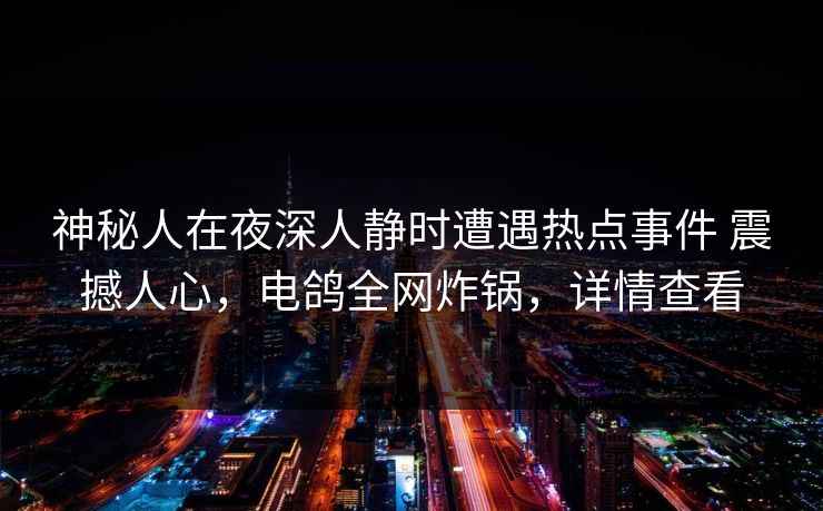 神秘人在夜深人静时遭遇热点事件 震撼人心，电鸽全网炸锅，详情查看
