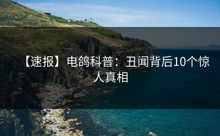 【速报】电鸽科普:丑闻背后10个惊人真相 【速报】电鸽科普:丑闻背后10个惊人真相